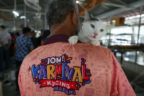 TAMAN KUCING MADANI