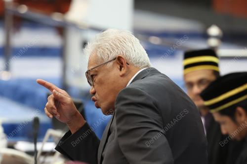 DATUK SERI HAMZAH ZAINUDIN