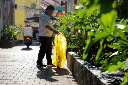 WORLD CLEANUP DAY 2024