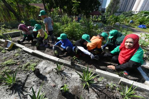 KL19_29112018_KEBUN_BN201811264719