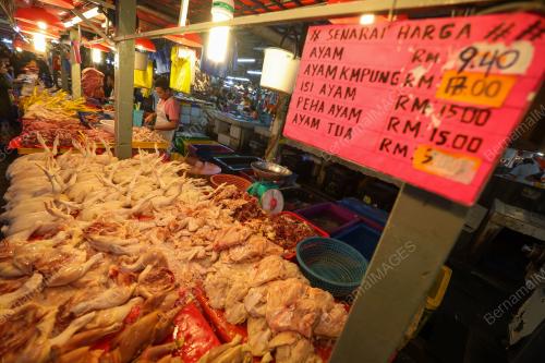TINJAUAN HARGA AYAM