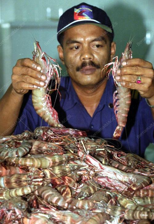 KL20-13_07_2001_UDANG_28012016