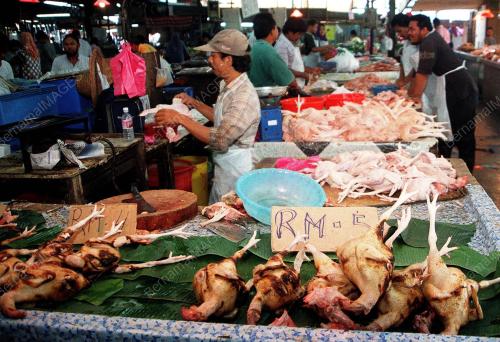 KL20-17_08_2000_AYAM_TURUN_12012016