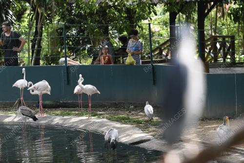 KL20_01022019_TINJAUAN_BN201901319687