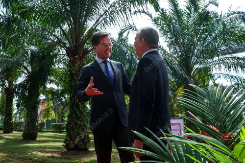 MARK RUTTE