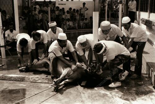 HARI RAYA QURBAN DI KAMPUNG BARU
