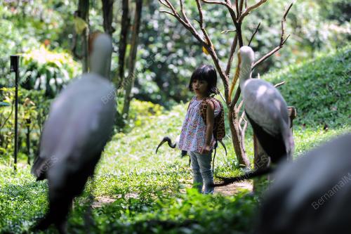 KL20_02092017_TAMAN_BURUNG