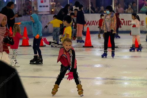 WORLD ICE SKATING DAY