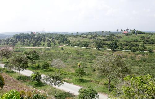 KL20_07032019_KERETA_LADANG