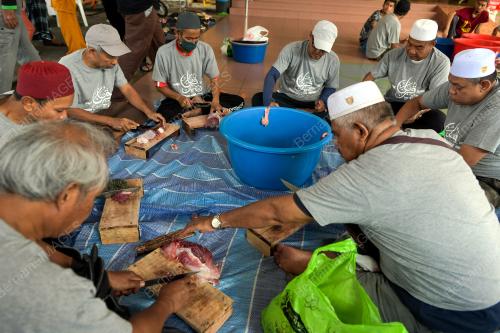 KORBAN HARI RAYA AIDILADHA