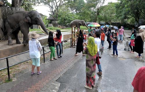 KL20_11082013_ZOO_NEGARA