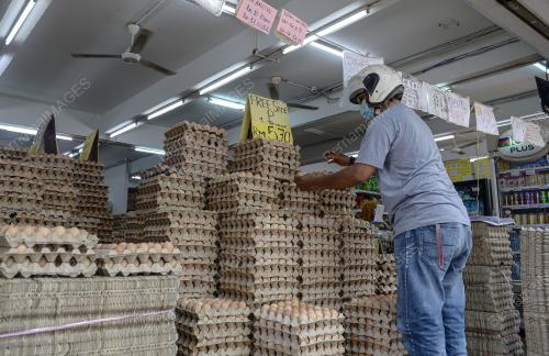 PENARIKAN BALIK TELUR