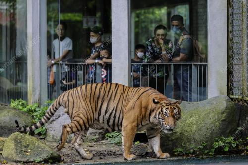ZOO NEGARA