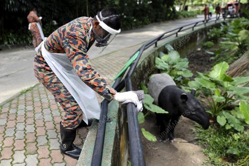 PROSES DISINFEKSI ZOO NEGARA - COVID19