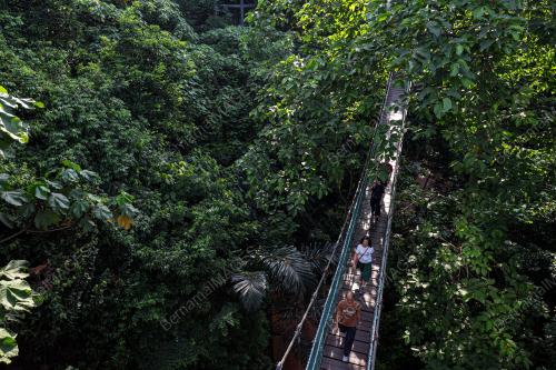HUTAN SIMPAN EKO RIMBA KUALA LUMPUR