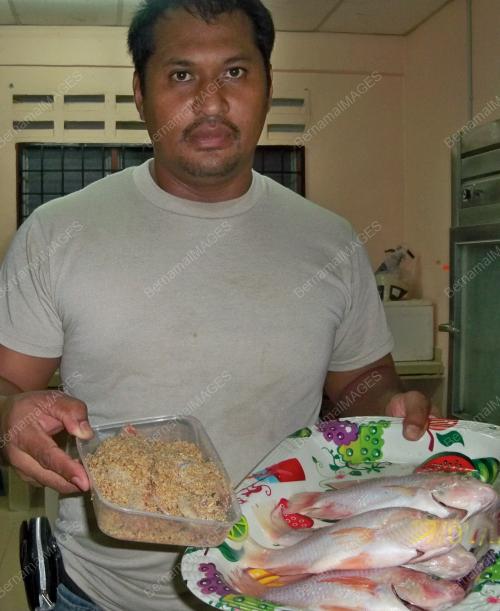 TILAPIA