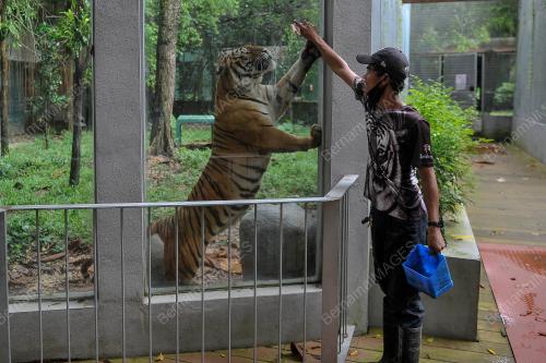 ZOO NEGARA 'ADOPT AN ANIMAL'