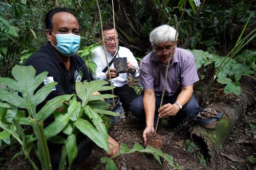 PROFESOR DR AHMAD ISMAIL