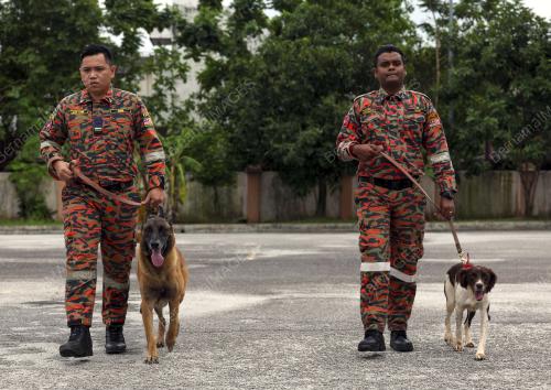 UNIT K9 JABATAN BOMBA DAN PENYELAMAT MALAYSIA