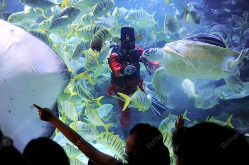KL20_25012012_AQUARIA