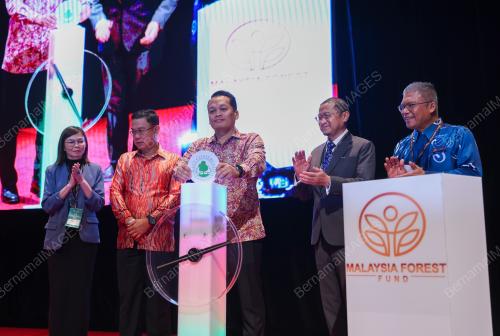NIK NAZMI NIK AHMAD