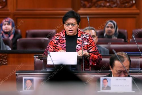 PERSIDANGAN DEWAN NEGARA
