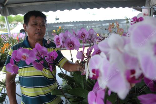 KL20_27092017_HPPNK_MFF