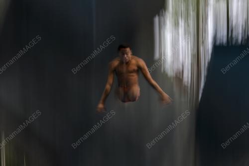FINA DIVING GRAND PRIX 2022