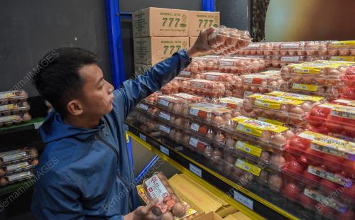 PELANGGAN MEMBELI TELUR AYAM