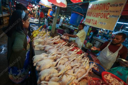 TINJAUAN HARGA AYAM