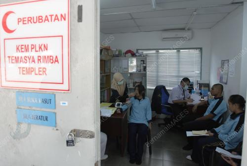 H1N1