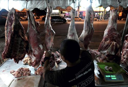 KL21_02062019_DAGING