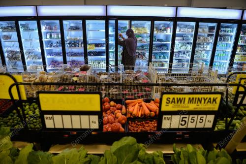 TINJAUAN MEMBELI BARANG KEPERLUAN ASAS