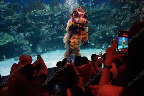 KL21_03022019_TARIAN_SINGA