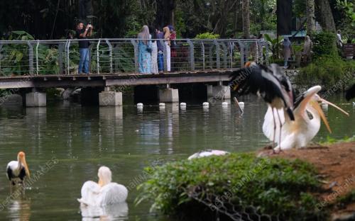 TINJAUAN CUTI HARI WESAK