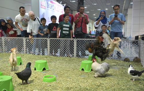 KL21_06102018_PETTING_ZOO