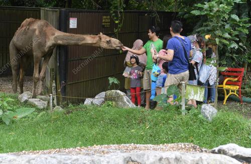 KL21_06112018_ZOO_NEGARA