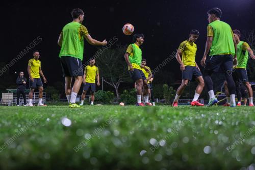 SKUAD HARIMAU MALAYA