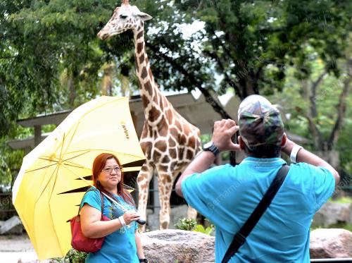 KL21_11082013_ZOO_NEGARA