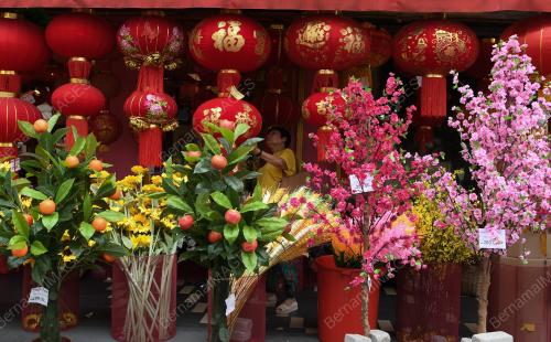 TAHUN_BARU CINA