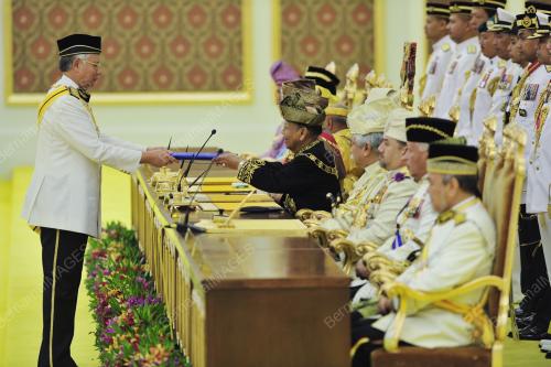 YANG DIPERTUAN AGONG