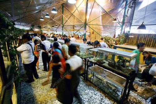 KL21_141108_ANIMAL ZONE