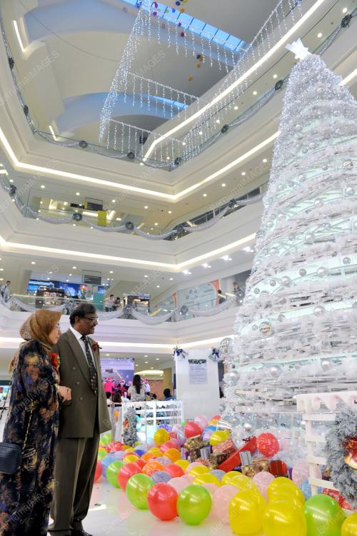 POKOK_KRISMAS TERTINGGI