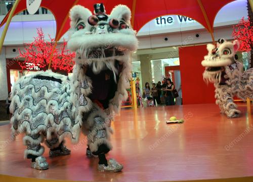 KL21_17012011_LION_DANCE