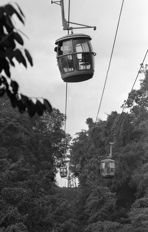 KL21_19012015_BUKIT_NANAS