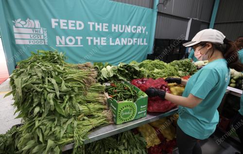 THE LOST FOOD PROJECT