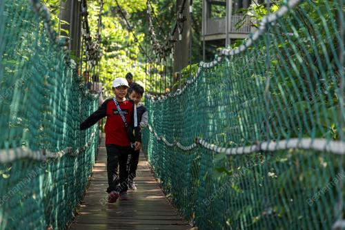 HUTAN SIMPAN EKO RIMBA KUALA LUMPUR