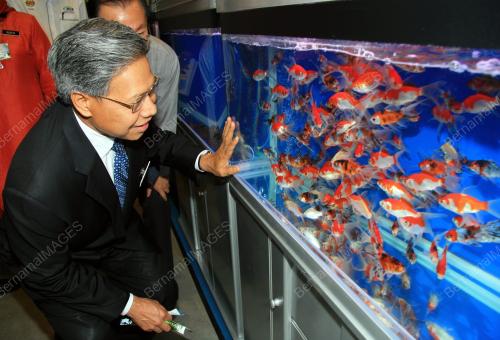 MUSTAPA MOHAMED