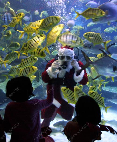SANTA CLAUS_AQUARIA