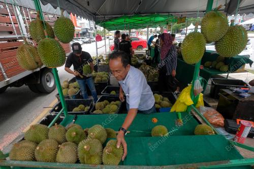 KEMERIAHAN MUSIM DURIAN TETAP DIRASAI KETIKA PKPP